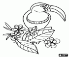 Toucan in a flowering branch