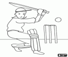 Cricketer ready to hit the ball