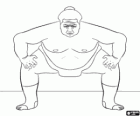 Sumo wrestler ready for combat, sumo is a type of wrestling