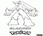 Blaziken is the final form of a Torchic, after the Combusken evolution