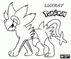 Luxray is the final evolution of Shinx and Luxio, an electric type pokemon, its eyes can see through anything