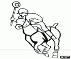 Player and horse practicing polocrosse, equestrian sport, combination of polo and the lacrosse