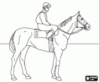 Jockey riding on his horse before the race start