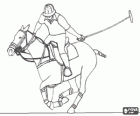 Polo player riding a horse and preparing the long-handled mallet to hit the ball into the opponents goal
