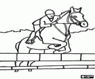 Horse and rider passing an obstacle in a jumping contest