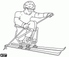 Cross-country skiing or XC skiing in sledge, a sport for persons with a physical disability