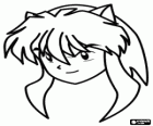 InuYasha is the main protagonist of the adventures. He is a half-demon, born to a dog demon father and a human mother