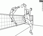Sepak takraw game, sport native to Southeast Asia like footvolley
