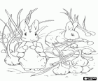 Rabbits pulling a garlic planting in the field