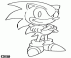 Sonic the Hedgehog, the main protagonist of the Sonic video game series
