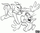 Tom the cat  attempts to capture Jerry the mouse. Tom and Jerry