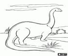 Apatosaurus or Brontosaurus scanning the horizon with its long neck