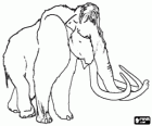 The woolly mammoth is a kind of elephant that lived in the Ice Age