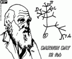 Darwin Day, Charles Darwin was born on february 12, 1809. Darwin tree, the first scheme of his evolution theory