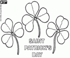 March 17. Saint Patrick's Day is the celebration of the irish culture. Shamrocks used as a symbol of Ireland. Lá Fhéile Pádraig in irish language
