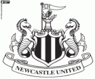 Emblem of Newcastle United FC, England football team