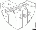 Logo of Bursaspor, Turkish football club