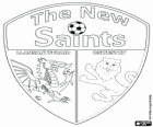 Logo of The New Saints FC, Welsh football club