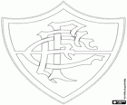 Emblem of Fluminense FC, sports club and soccer team in Rio de Janeiro, Brazil