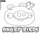 King Pig appears at the end of the game Angry Birds
