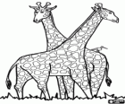 Two giraffes and a bird scanning the horizon