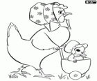 The hen with the chick in a stroller