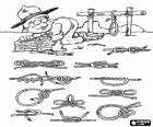 Explorer practicing with the rope the different types of knots