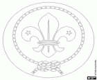 Emblem of the World Organization of the Scout Movement. Logo of the WOSM. Fleur-de-lis surrounded with a piece of rope tied