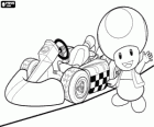 Toad with a kart. Toad is a citizen of the Mushroom Kingdom and loyal servant of Princess Peach