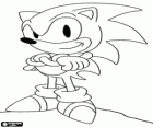 Sonic the Hedgehog, the main protagonist of the Sonic videogames from Sega