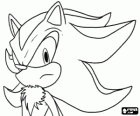 Shadow is a hedgehog like Sonic