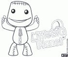 LittleBigPlanet, video game where the characters are dolls called Sackboys or Sackgirls