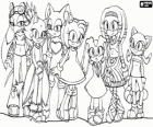 The Sonic's girls, characters from Sonic's videogames