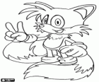 Miles Prower, known as Tails is a fox with two tails that can fly