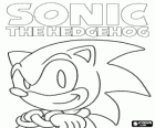 Sonic The Hedgehog, the hero of the series of Sonic games from Sega