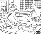 Penguins practicing martial arts in Club Penguin