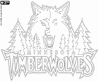 Minnesota Timberwolves logo, NBA team. Northwest Division, Western Conference