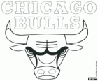 Logo Chicago Bulls, NBA team. Central Division, Eastern Conference