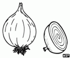 Onions, a whole onion and a halved onion