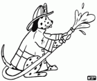 A dog firefighter with the hose