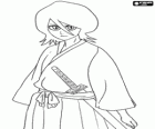 Rukia Kuchiki is a Soul Reaper or Shinigami with the physical appearance of a teenage girl