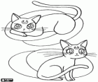 Luna and Artemis, the cats are advisors of different characters in Sailor Moon's stories
