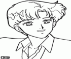 The attractive Darien or Mamoru Chiba, one of the protagonists of Sailor Moon