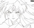 Sesshomaru, Inuyasha's brother. A total unscrupulous demon who hates his brother, the humans and the weak