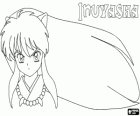 Inuyasha's head with his long hair