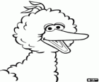 Big Bird, character of Sesame Street 