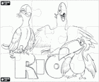 Rio Movie Puzzle. Puzzle with the macaws Blu, Jewel and the tucan Rafael