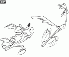 Wile E. Coyote and Road Runner. The Coyote and the Road Runner