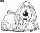 Dougal, the long haired dog from The Magic Roundabout