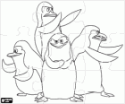 Puzzle of The Penguins of Madagascar, the four protagonists penguins